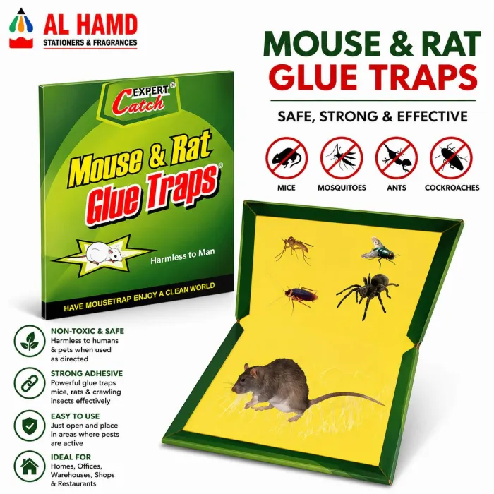 Mouse ( RAT ) Catch Book