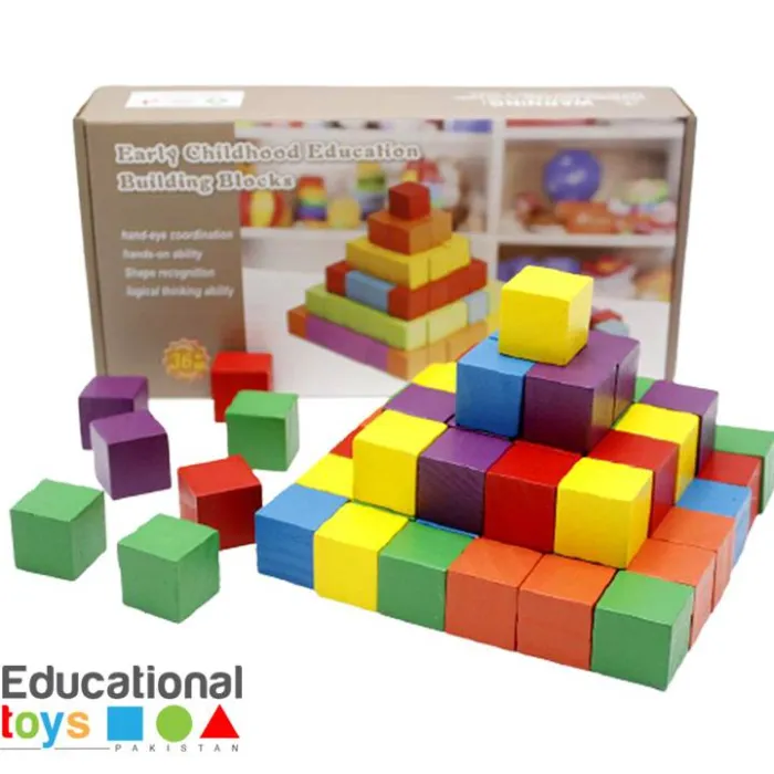 WOODEN BLOCK | 100 PCS | Play Lab